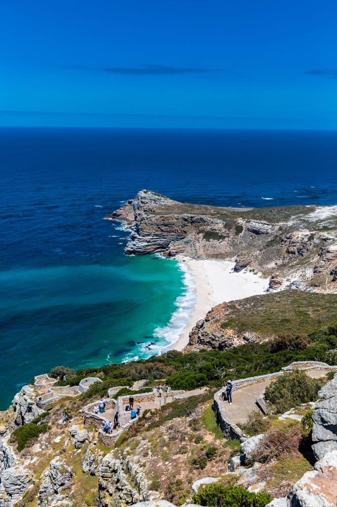 Cape of Good Hope & Penguins