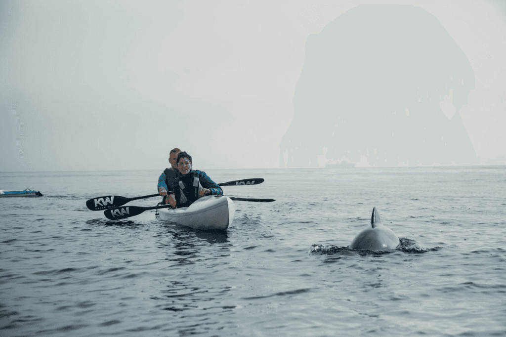 Kayaking with Urban Elephant