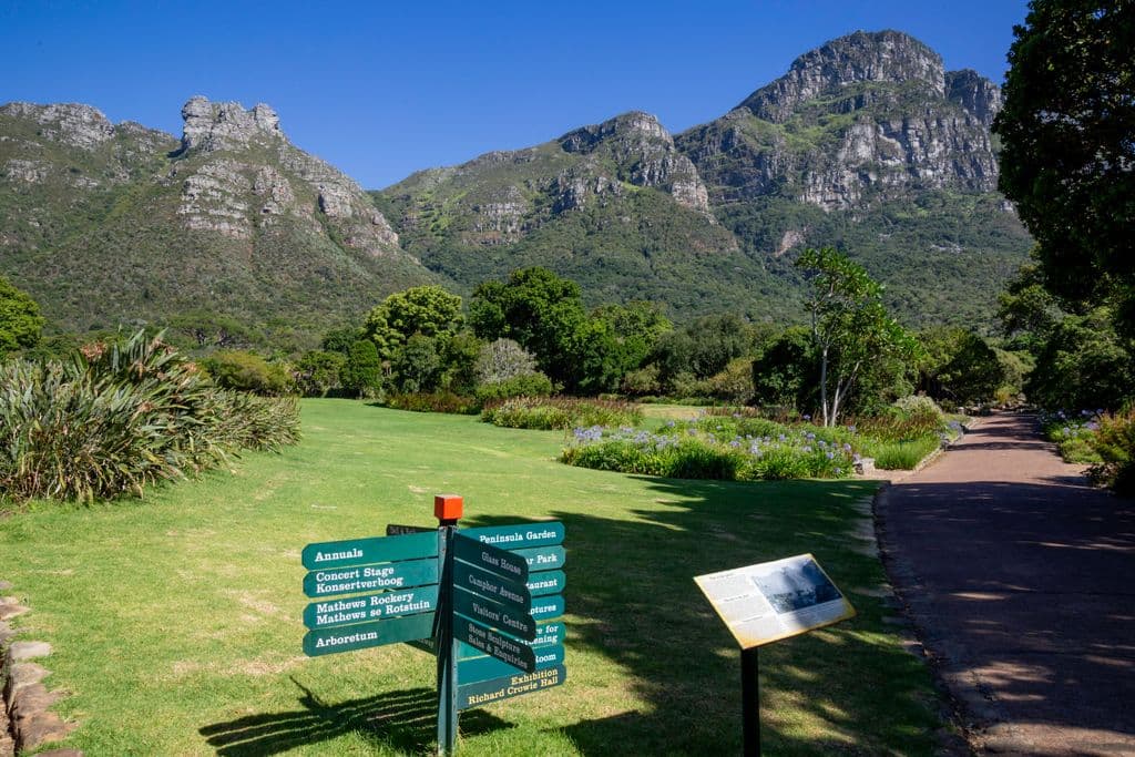 Kirstenbosch Gardens & Constantia