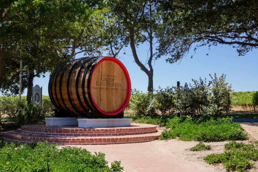 Wine Tours with Wine Flies